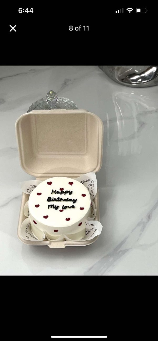 Minimalist Bento Cake